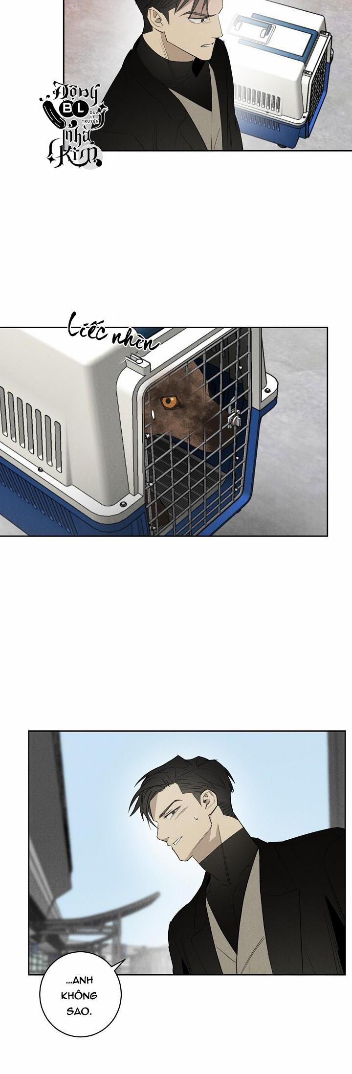 Wander off (Lang Thang) 13 end trang 12