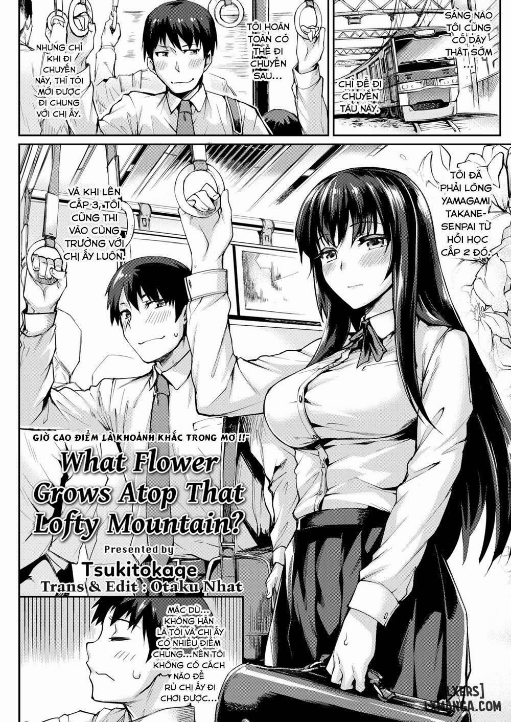 What Flower Grows Atop That Lofty Mountain Oneshot trang 0