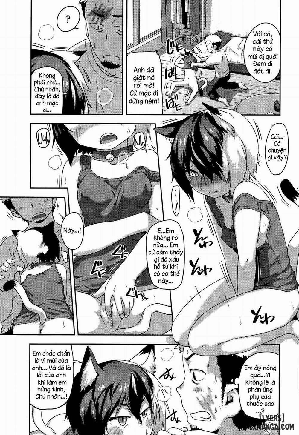 What's Tsun Pussycat Oneshot trang 4