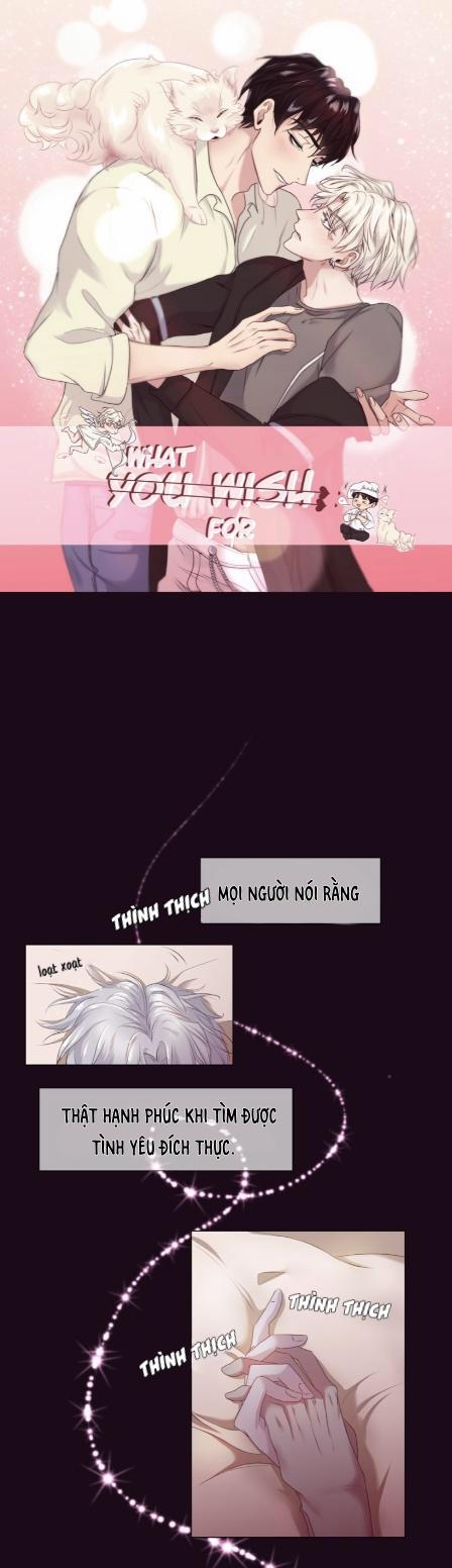 What you wish for 1 trang 0
