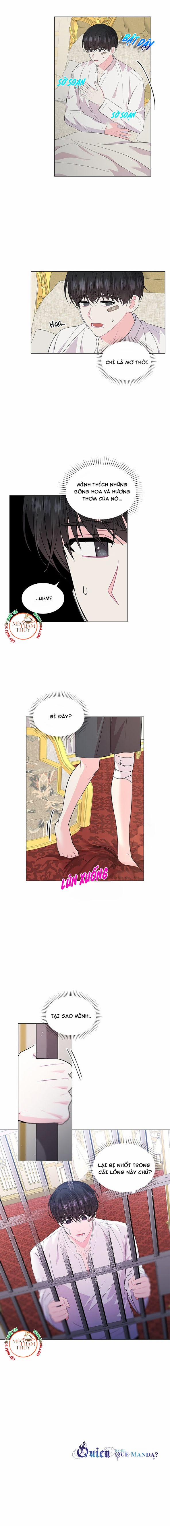 Who’s your daddy 39 trang 10