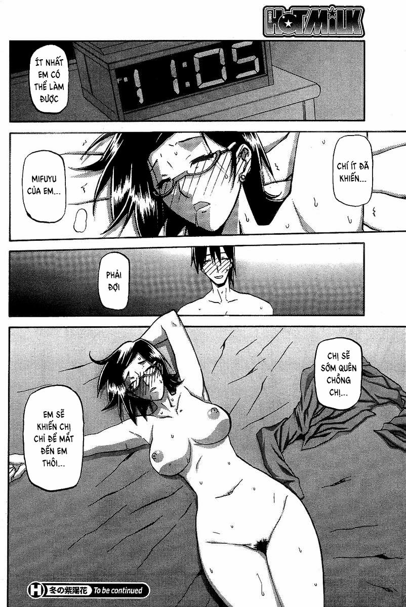 Winter Hydrangea 1 trang 21