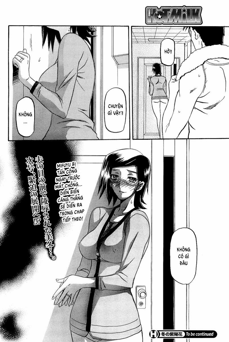 Winter Hydrangea 4 trang 20