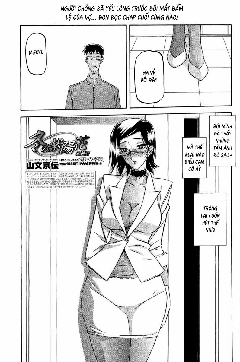 Winter Hydrangea 6 trang 3