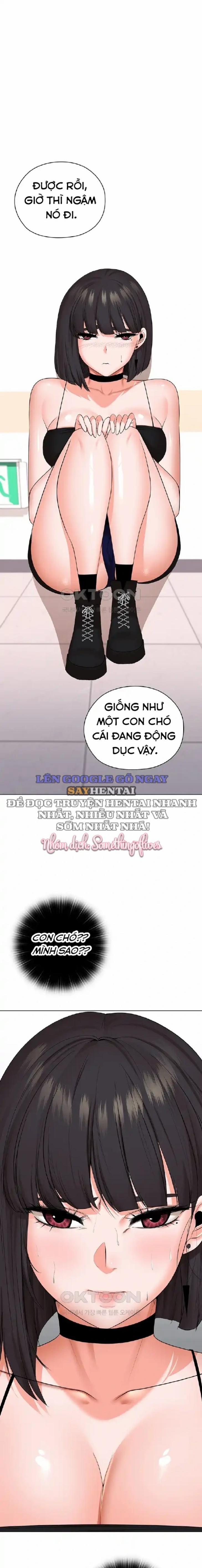 Xã Hội Thượng Lưu 27 trang 0