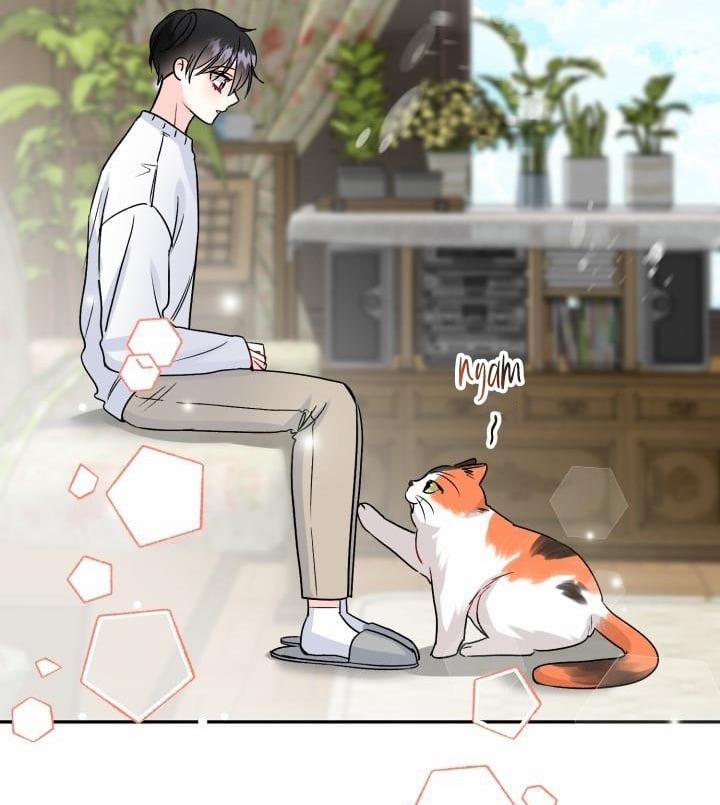 Xác Suất Tình Yêu 50 trang 22