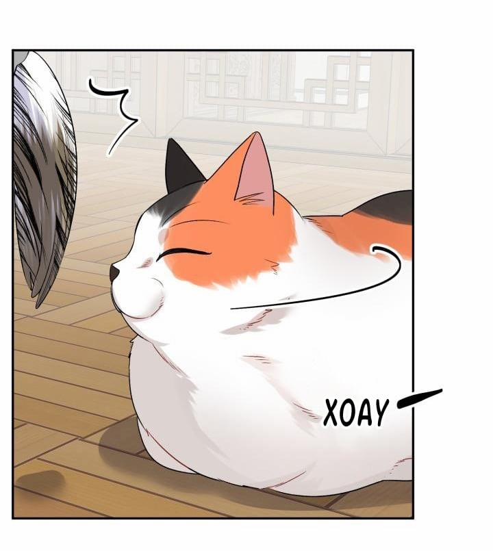 Xác Suất Tình Yêu 50 trang 7