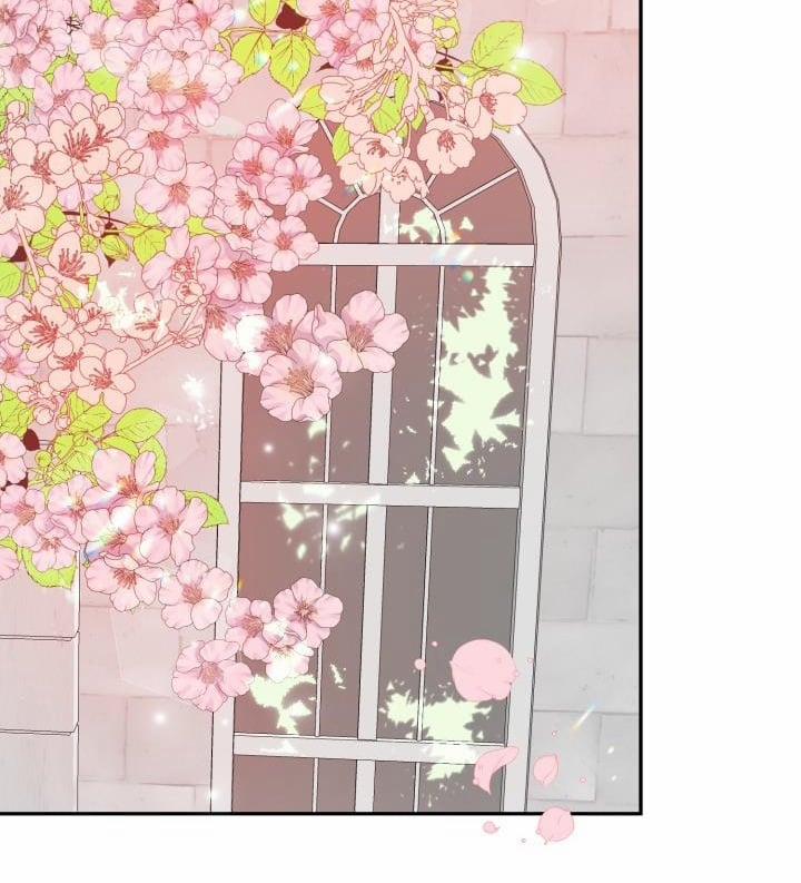 Xác Suất Tình Yêu 55 trang 2