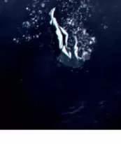 Xâm Nhập Vào Trường Trung Học Tài Phiệt! 72 trang 96