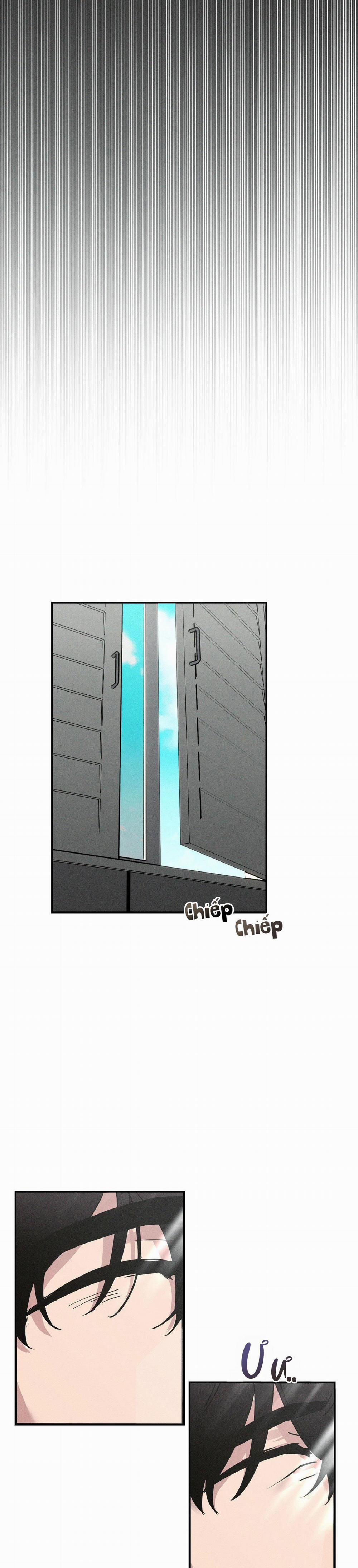 Xiềng Xích Hoàn Mỹ 2 trang 20