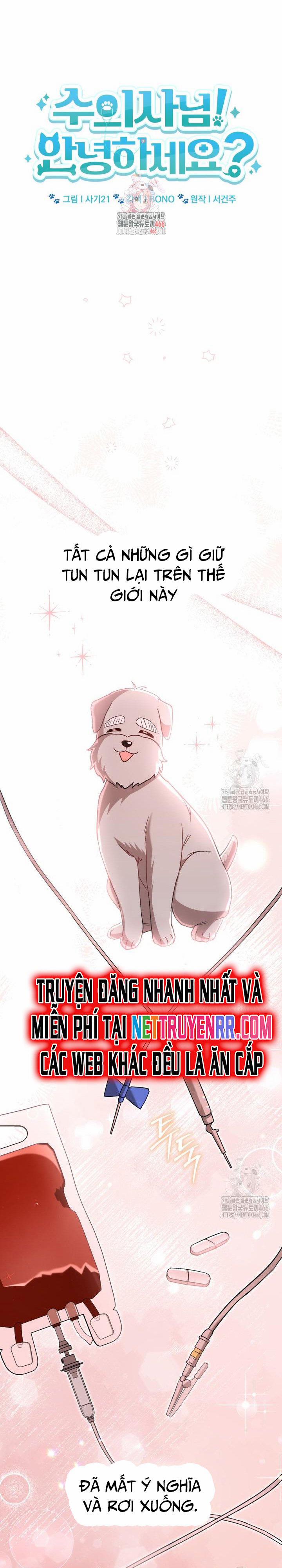 Xin Chào! Bác Sĩ Thú Y 73 trang 1