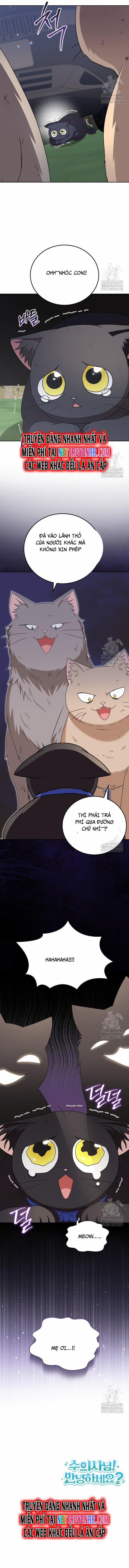 Xin Chào! Bác Sĩ Thú Y 76 trang 8