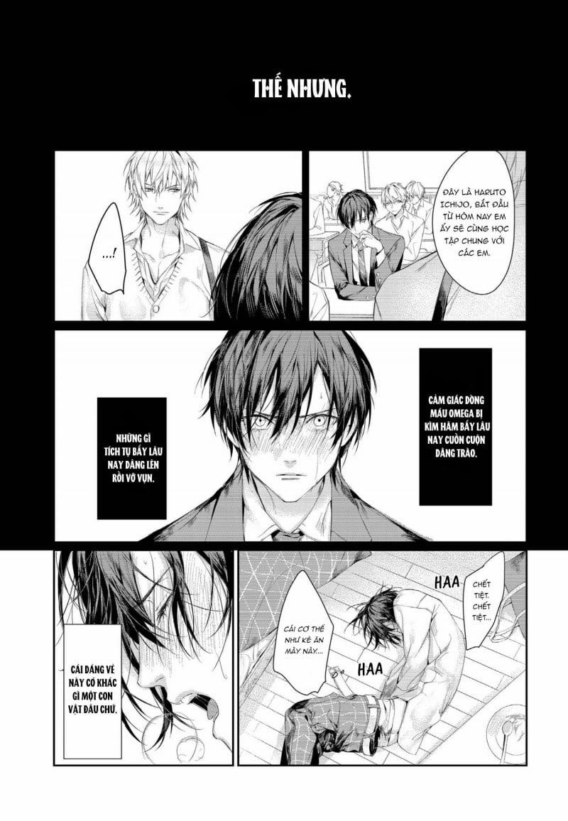 Xin Đừng Buông Tay Em 2 trang 22