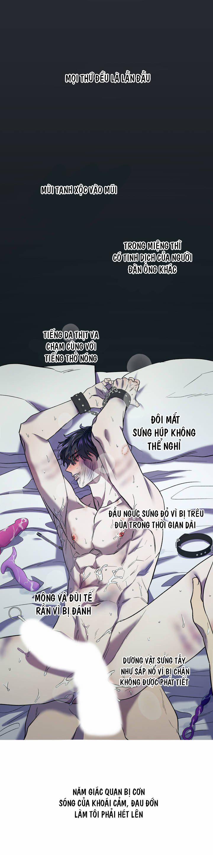 Xin Hãy Đánh Tôi Đi! 5 trang 1