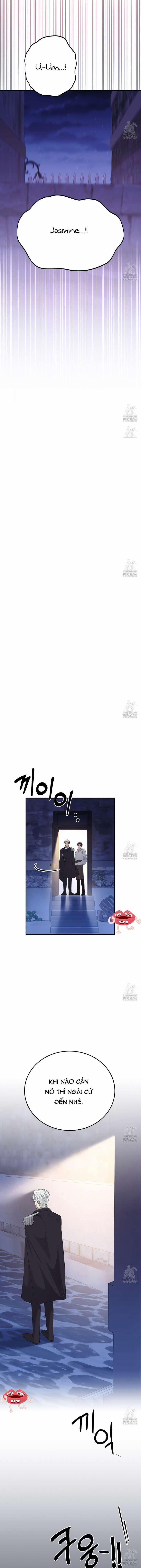 Xin Hãy Để Ý Tới Jasmine 43 trang 15