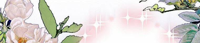 Xin Hãy Kết Hôn Với Em 37 trang 151