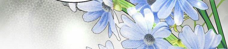 Xin Hãy Kết Hôn Với Em 37 trang 224