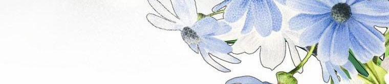 Xin Hãy Kết Hôn Với Em 37 trang 225