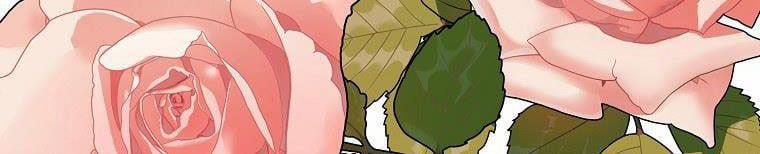 Xin Hãy Kết Hôn Với Em 38 trang 44