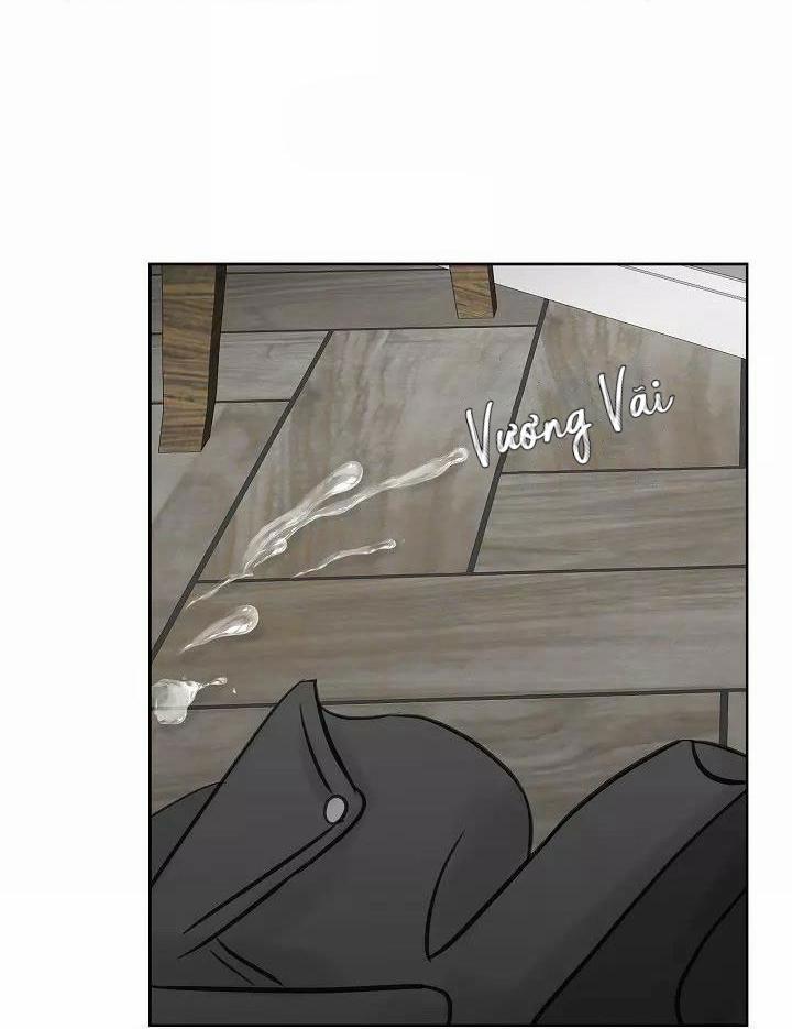 XIN HÃY Ở LẠI VỚI ANH 8 trang 24