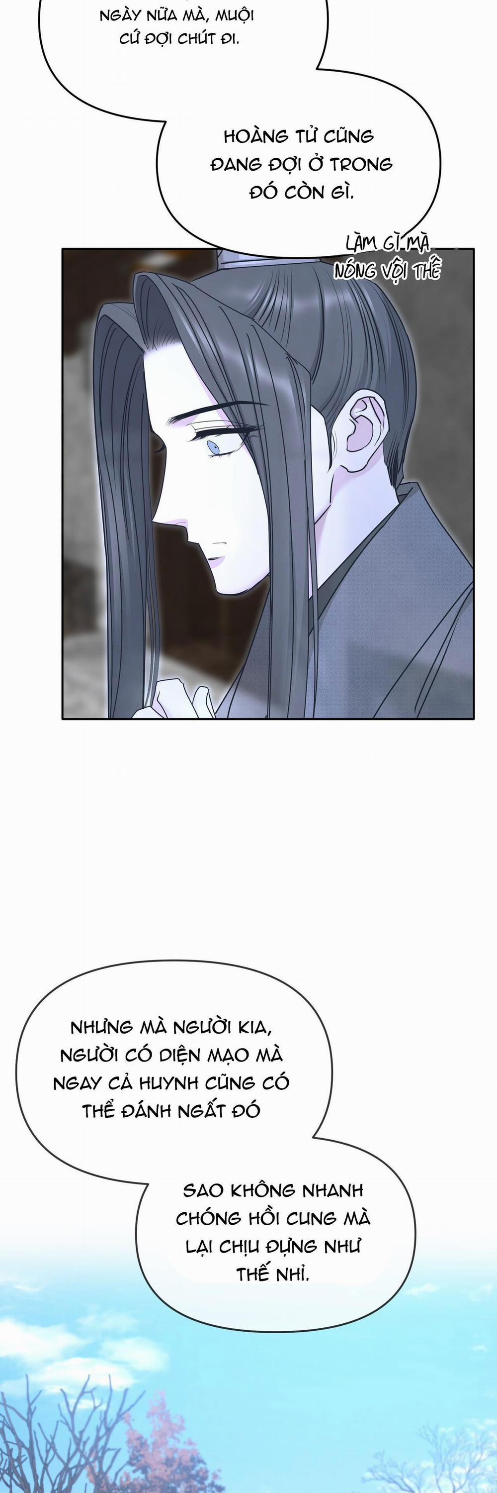 Xuân Phong Viên Mãn 66 trang 8