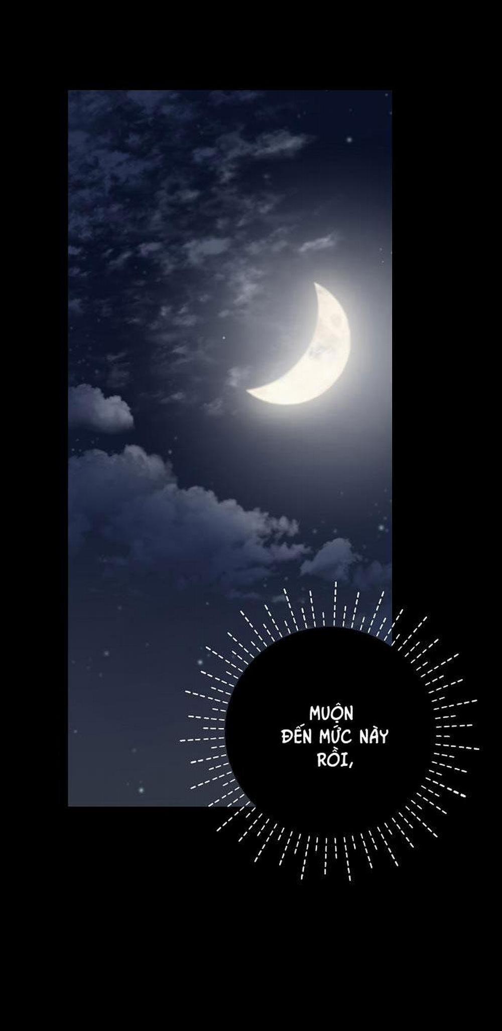 Xuân Phong Viên Mãn 7 trang 27