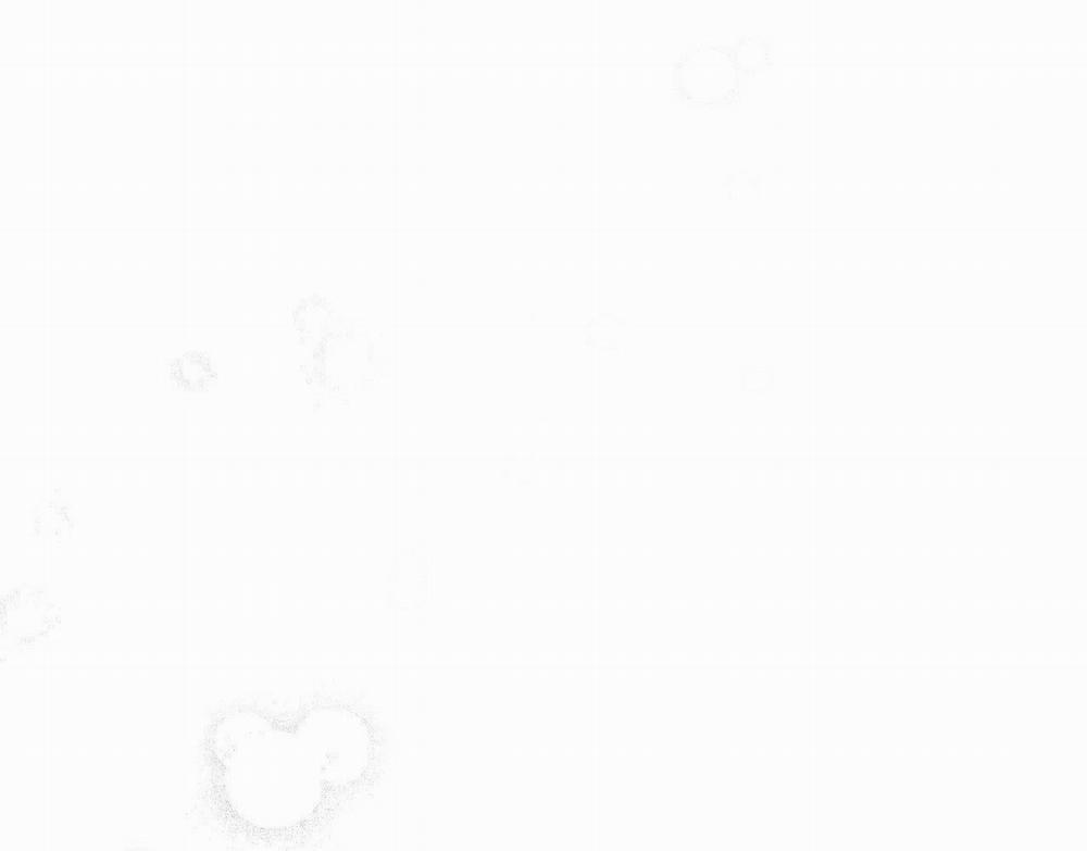 Xúc Cảm Làn Da 23 trang 7