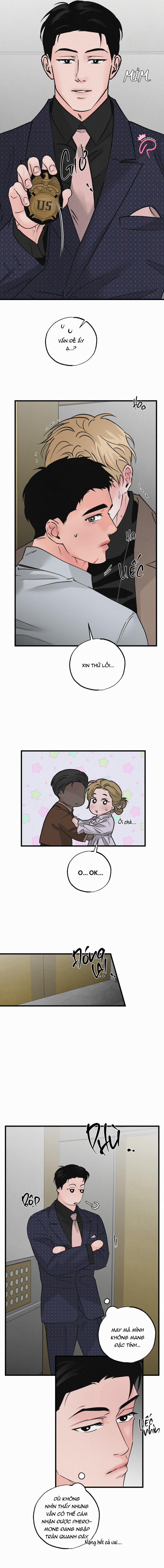 Xứng Đôi Vừa Lứa 38 trang 1