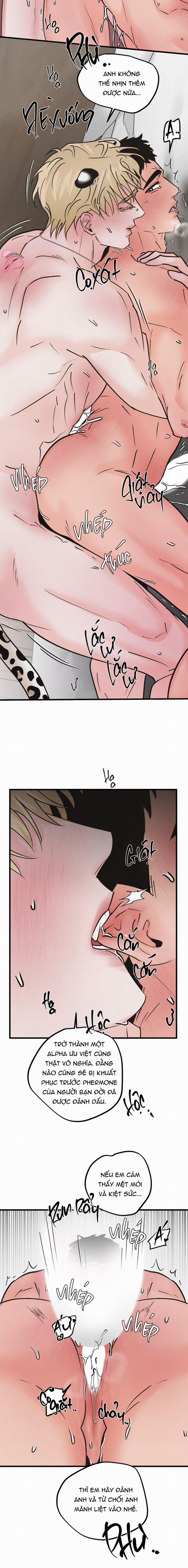 Xứng Đôi Vừa Lứa 38 trang 15