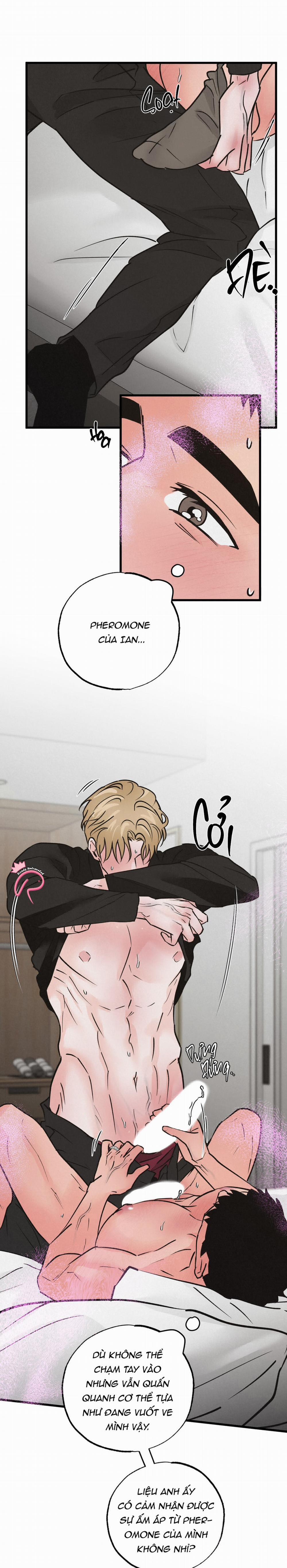 Xứng Đôi Vừa Lứa 38 trang 9