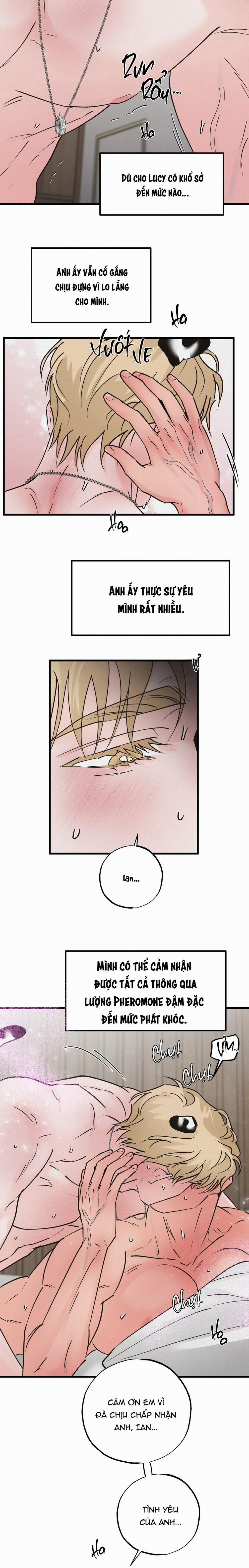 Xứng Đôi Vừa Lứa 39 trang 2