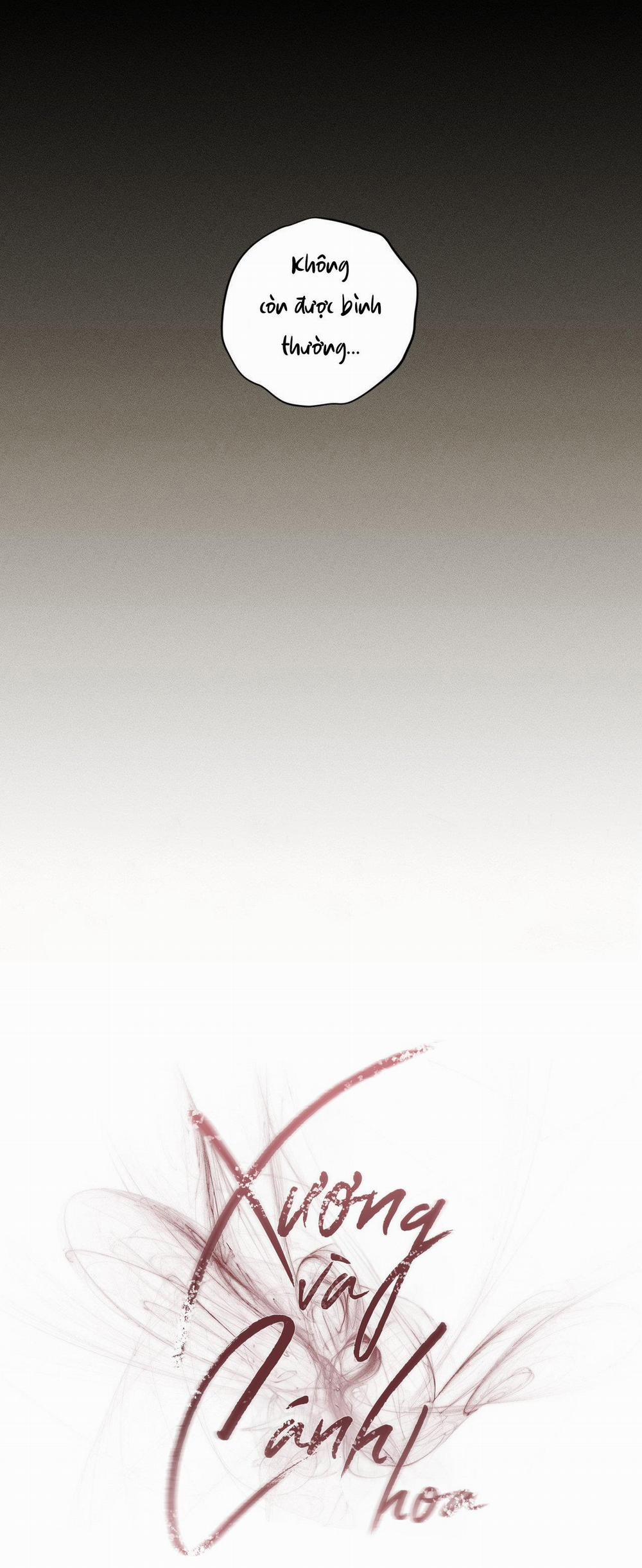 Xương Và Cánh Hoa 15 trang 31