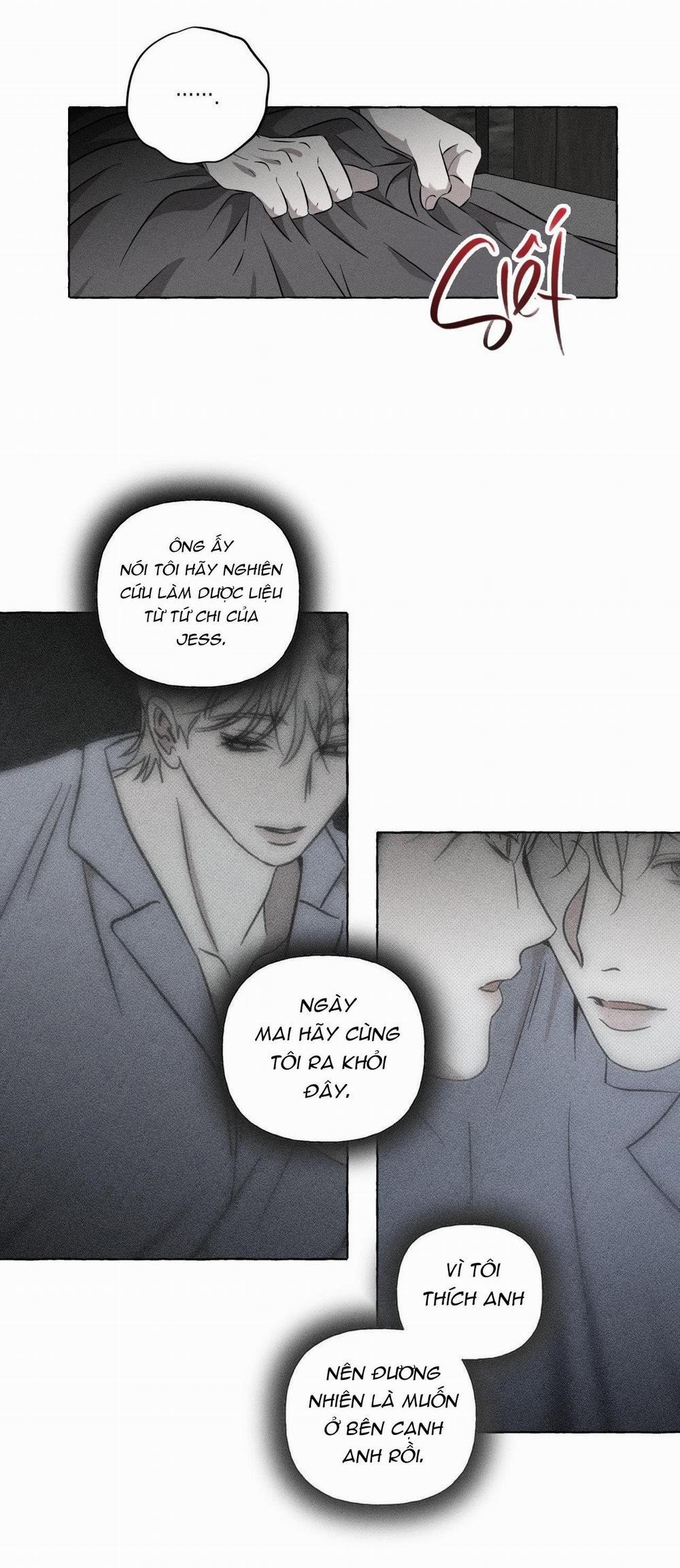 Xương Và Cánh Hoa 18 trang 5