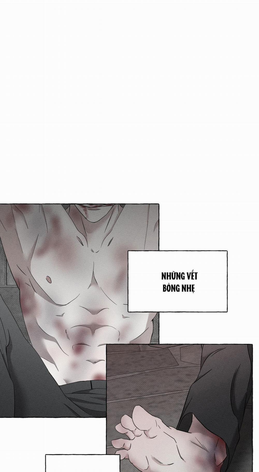 Xương Và Cánh Hoa 2 trang 21