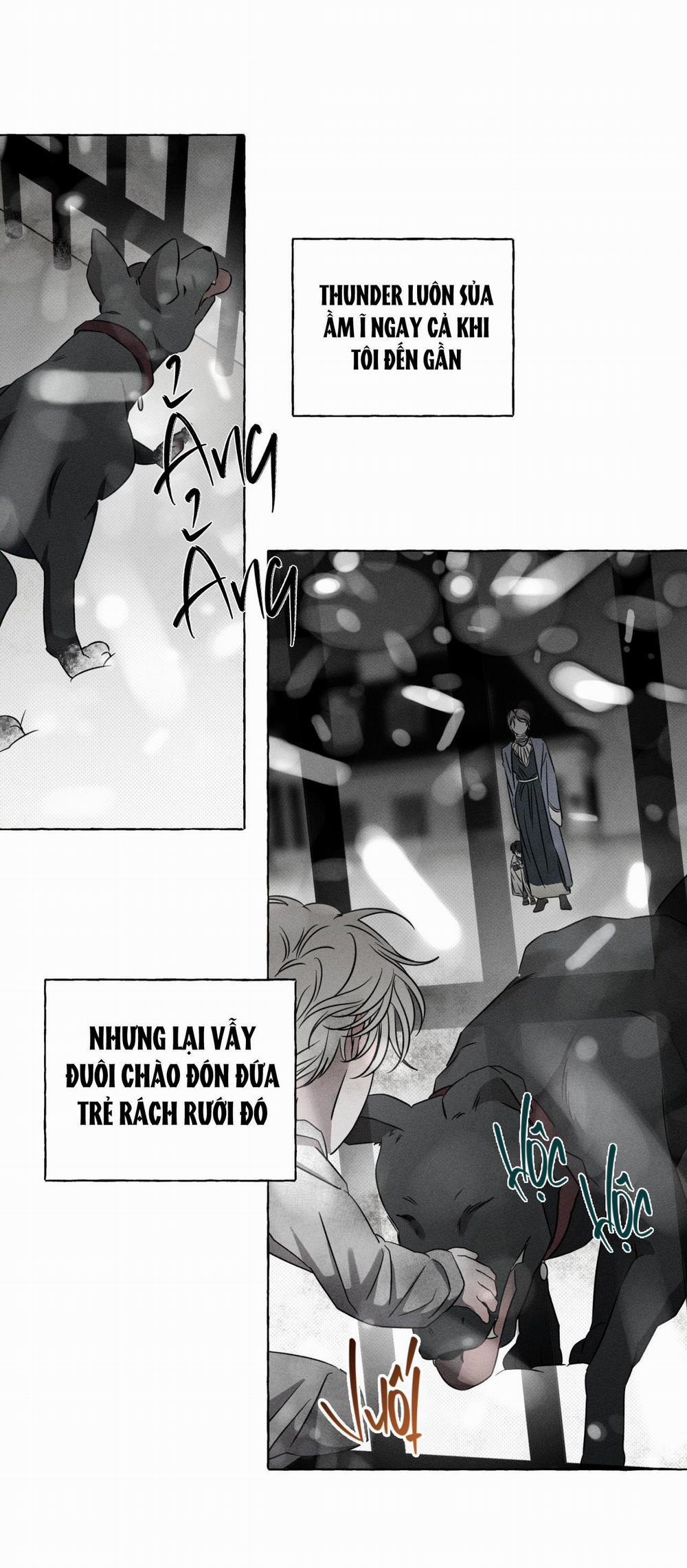 Xương Và Cánh Hoa 20 trang 39