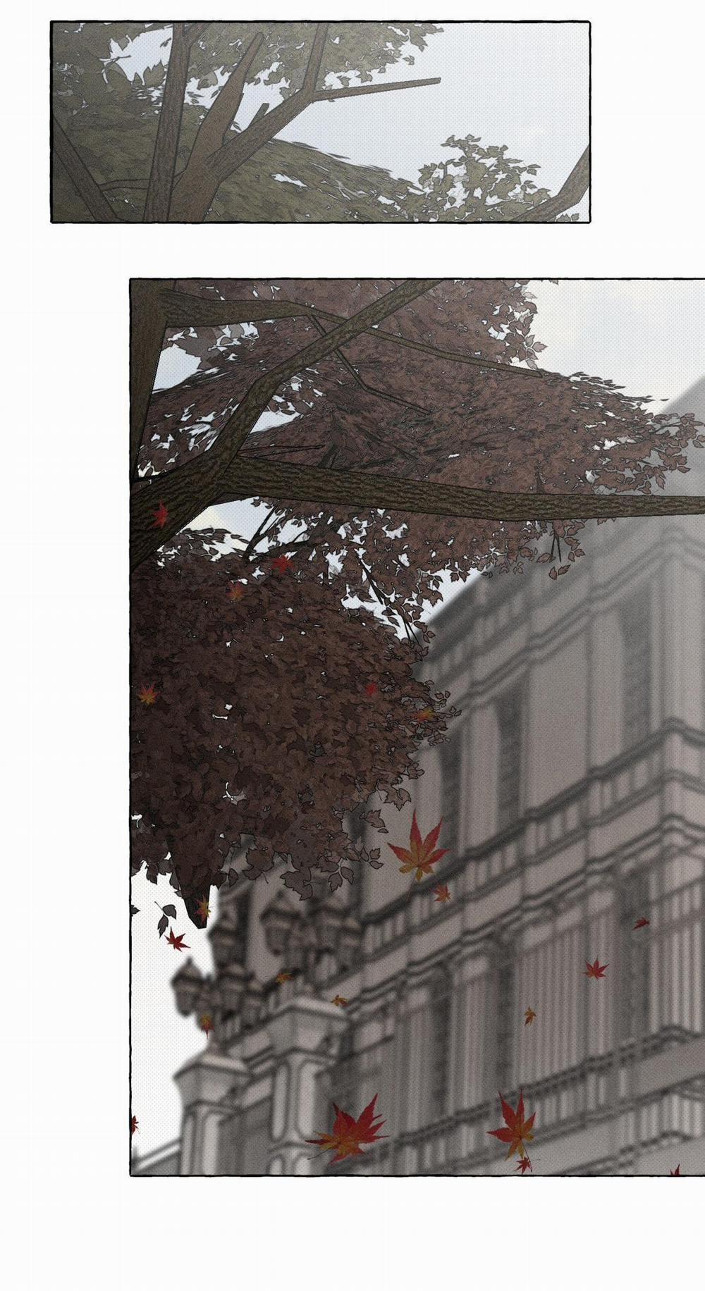 Xương Và Cánh Hoa 21 trang 24