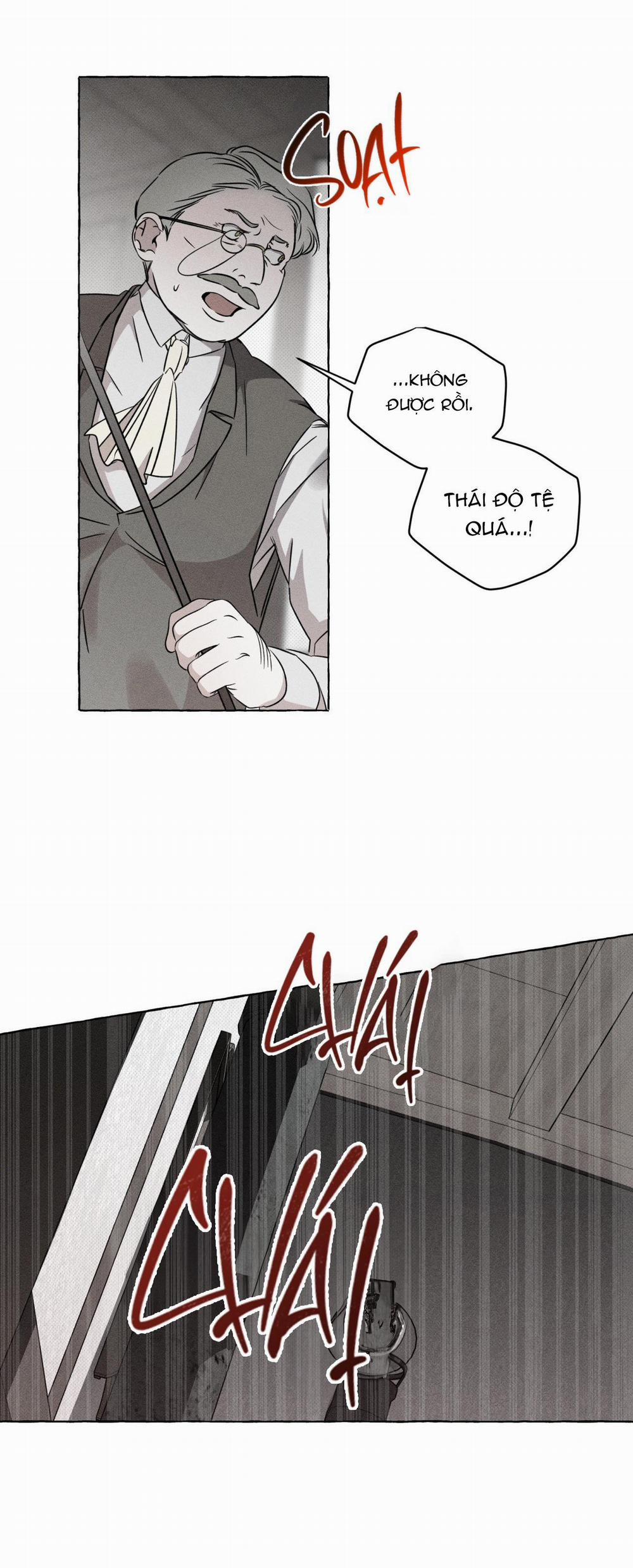 Xương Và Cánh Hoa 21 trang 5