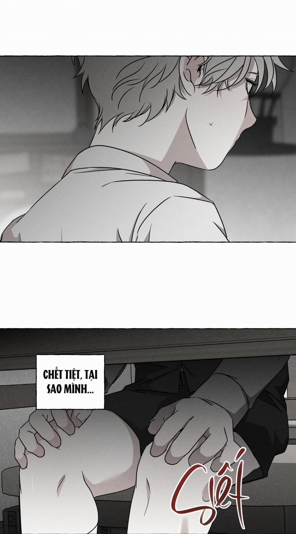 Xương Và Cánh Hoa 21 trang 8