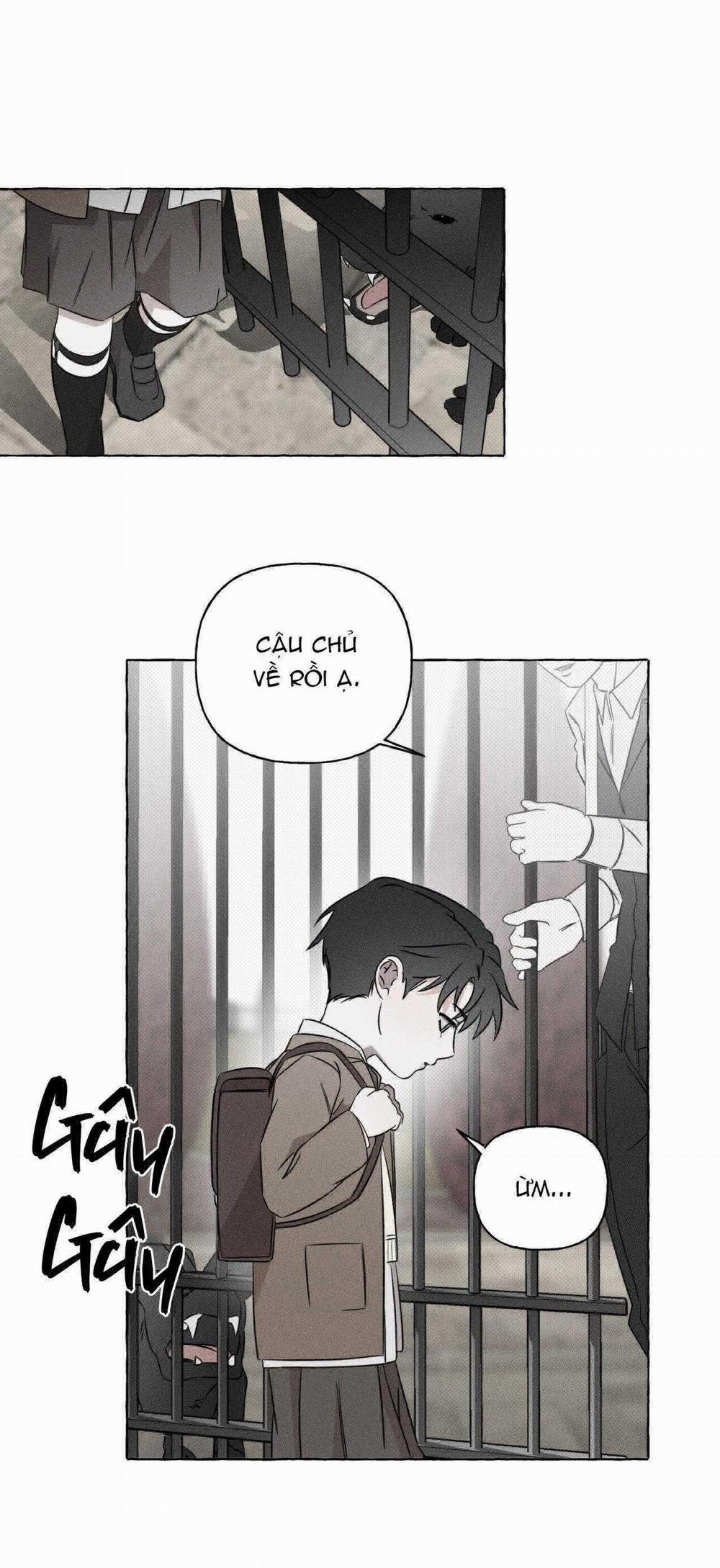 Xương Và Cánh Hoa 22 trang 4