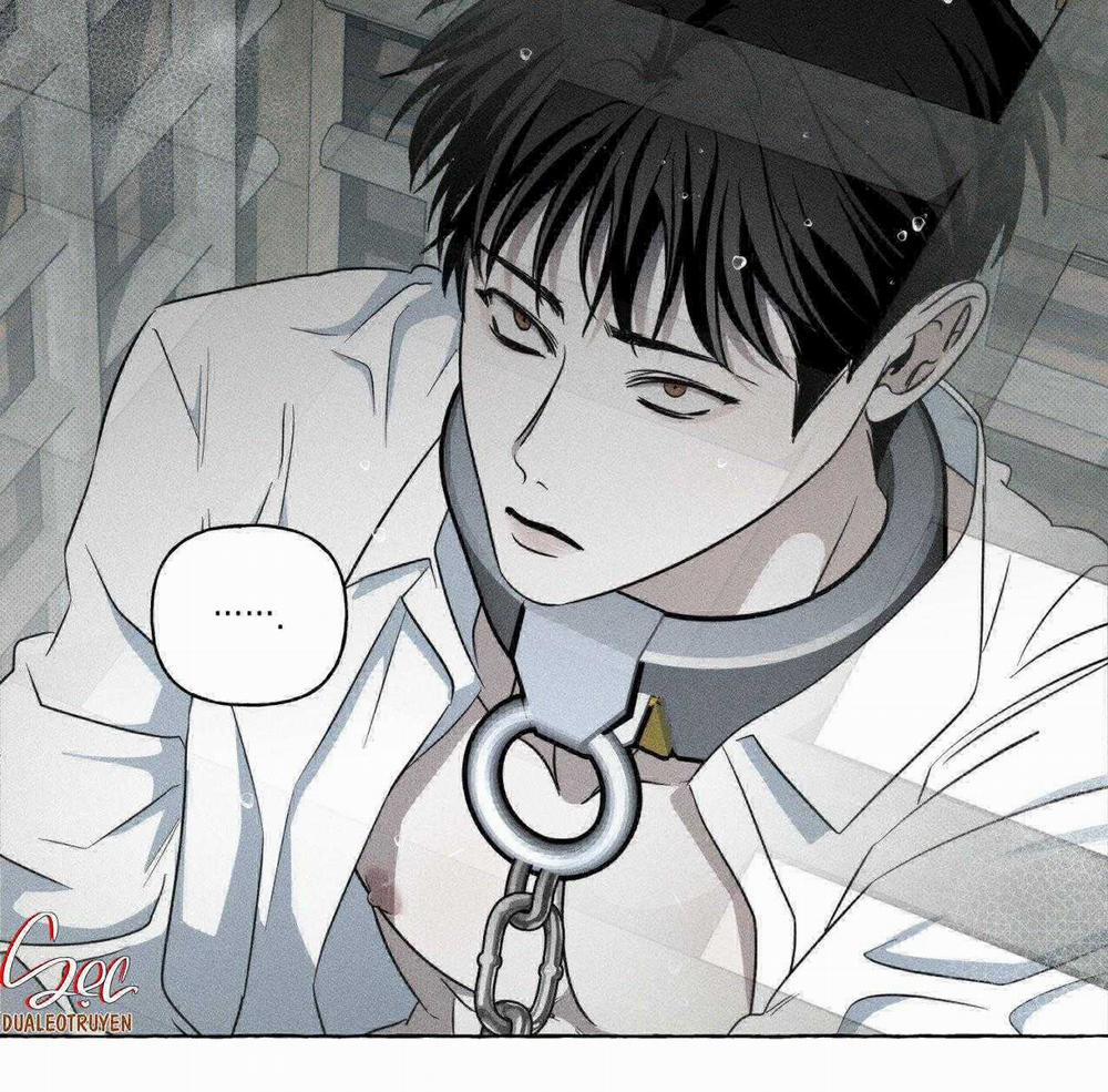 Xương Và Cánh Hoa 26 trang 10