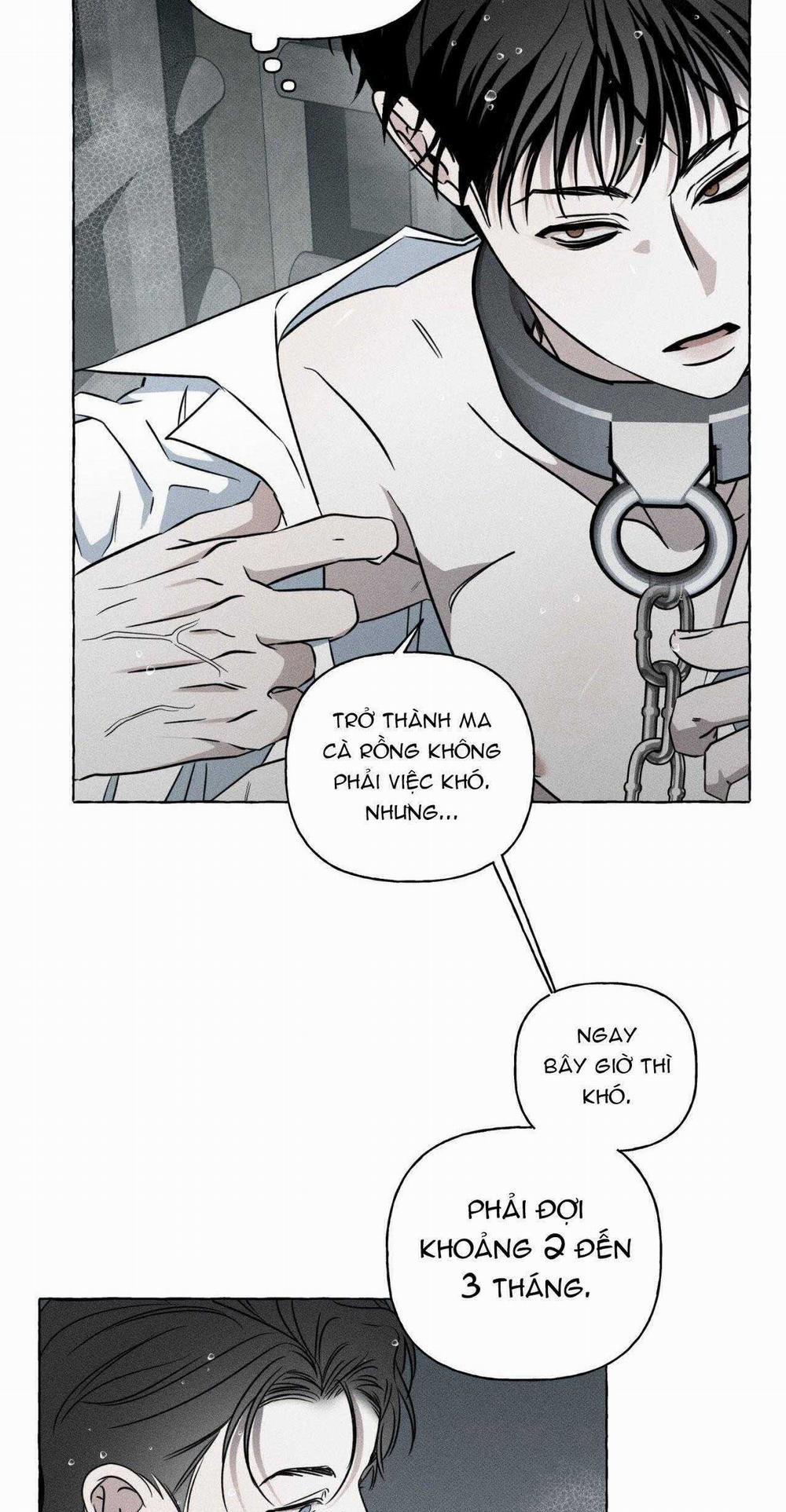 Xương Và Cánh Hoa 26 trang 8