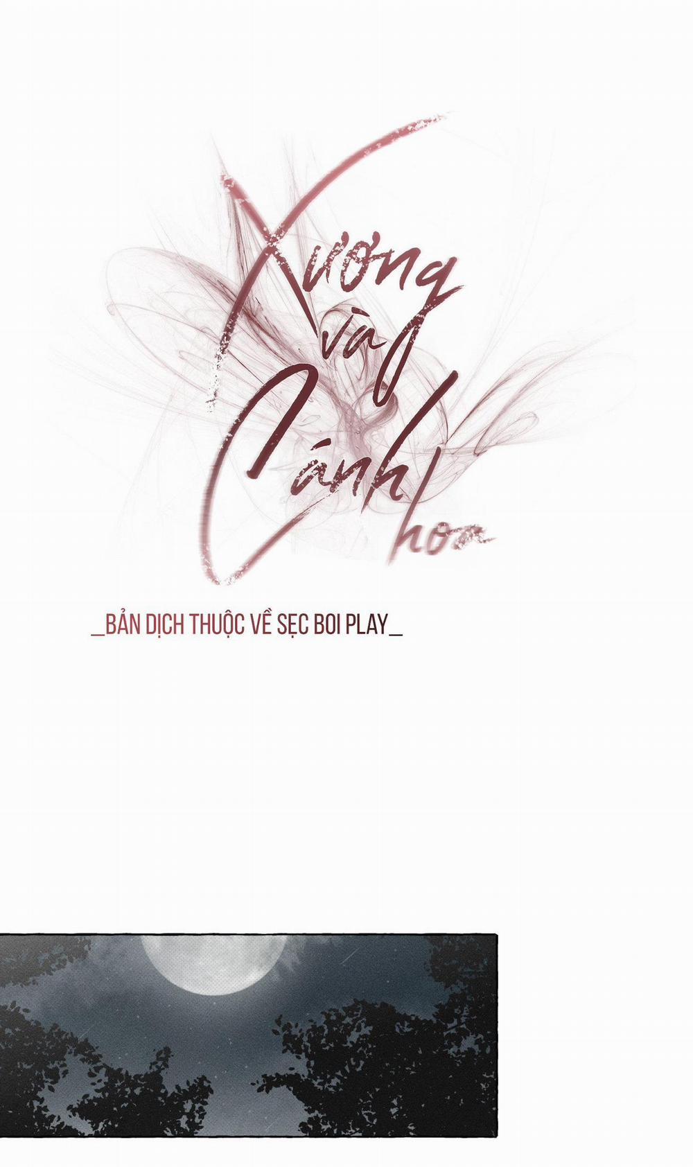 Xương Và Cánh Hoa 27 trang 17