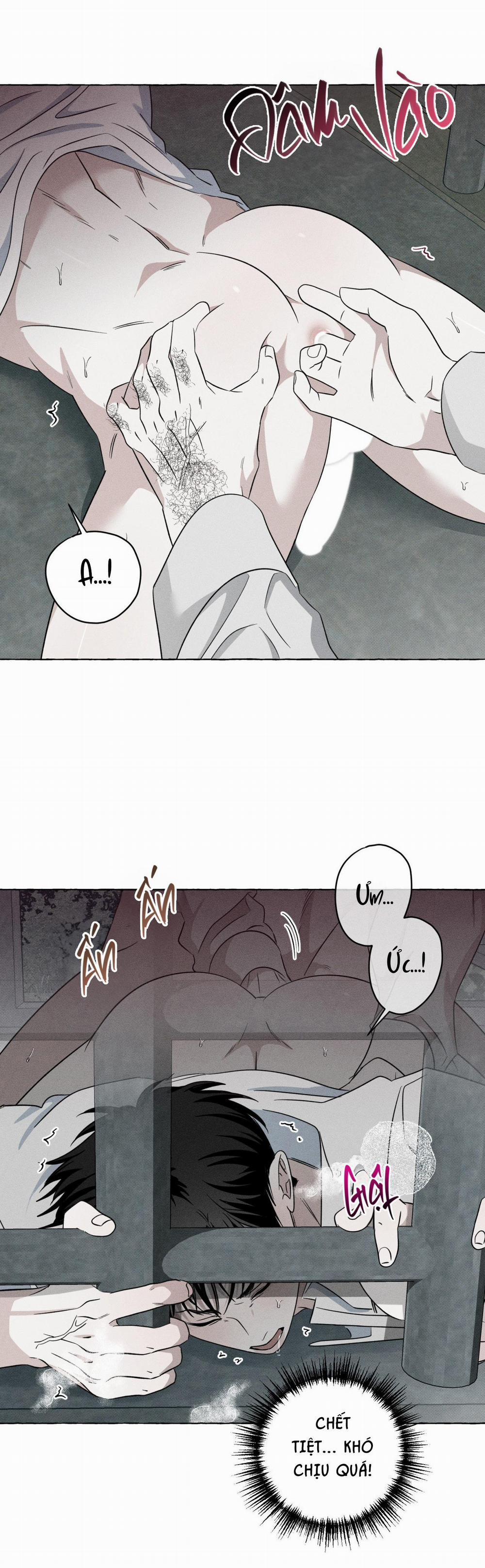 Xương Và Cánh Hoa 27 trang 2