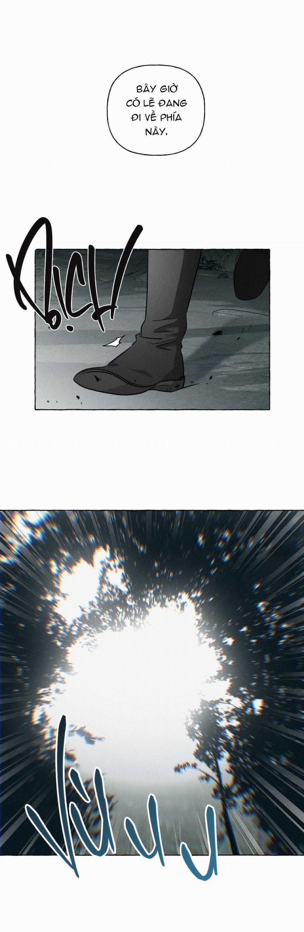 Xương Và Cánh Hoa 28 trang 19