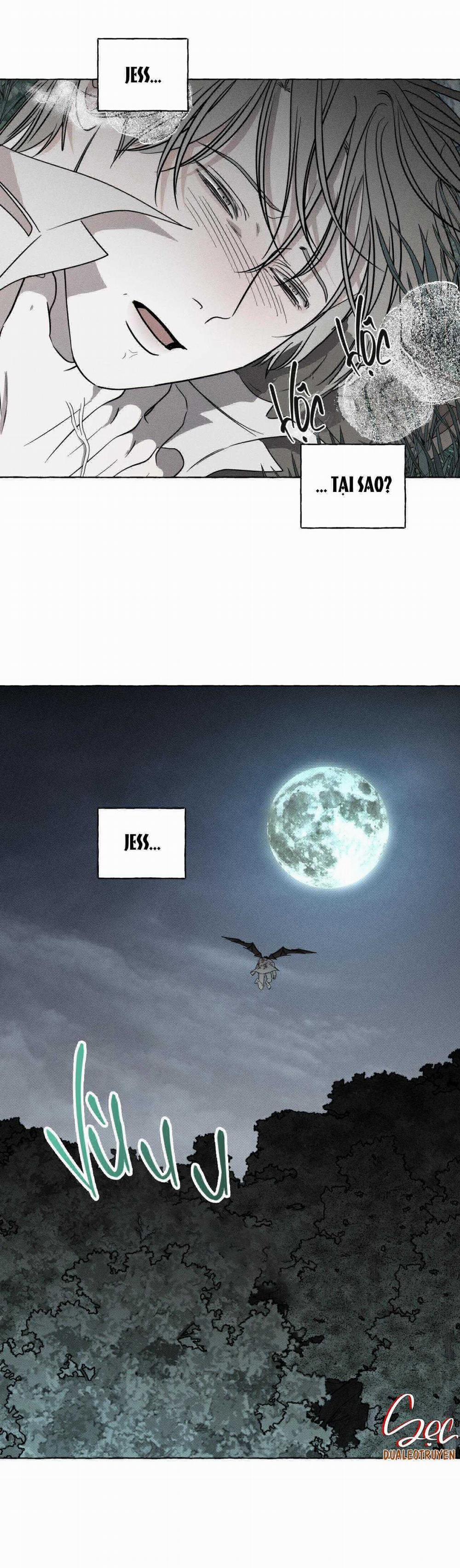 Xương Và Cánh Hoa 28 trang 37
