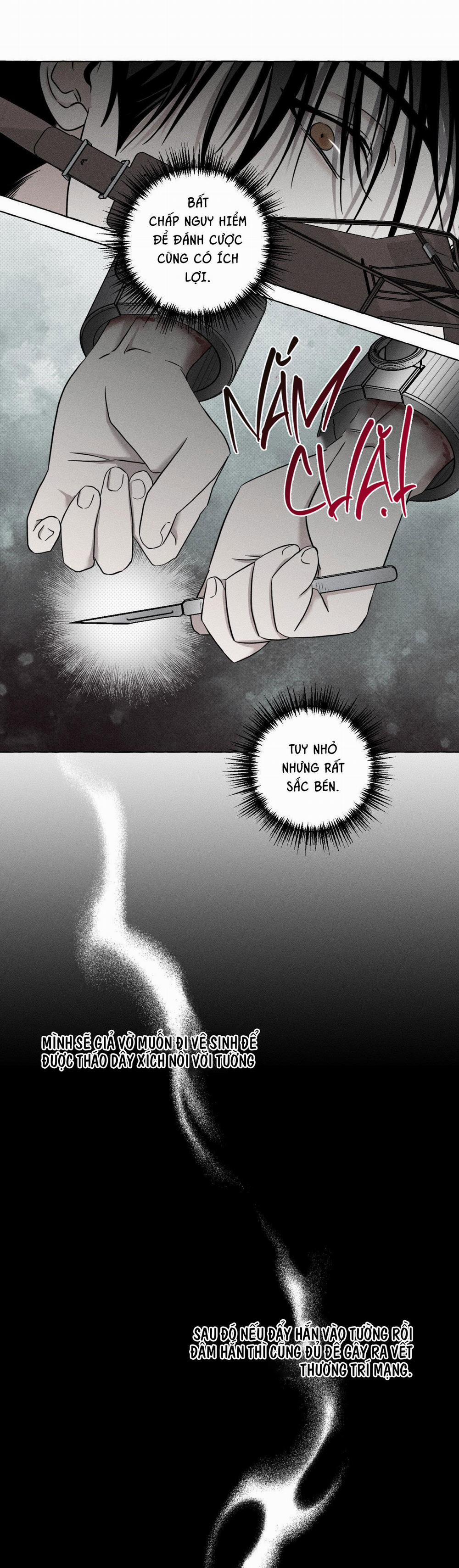 Xương Và Cánh Hoa 3 trang 17