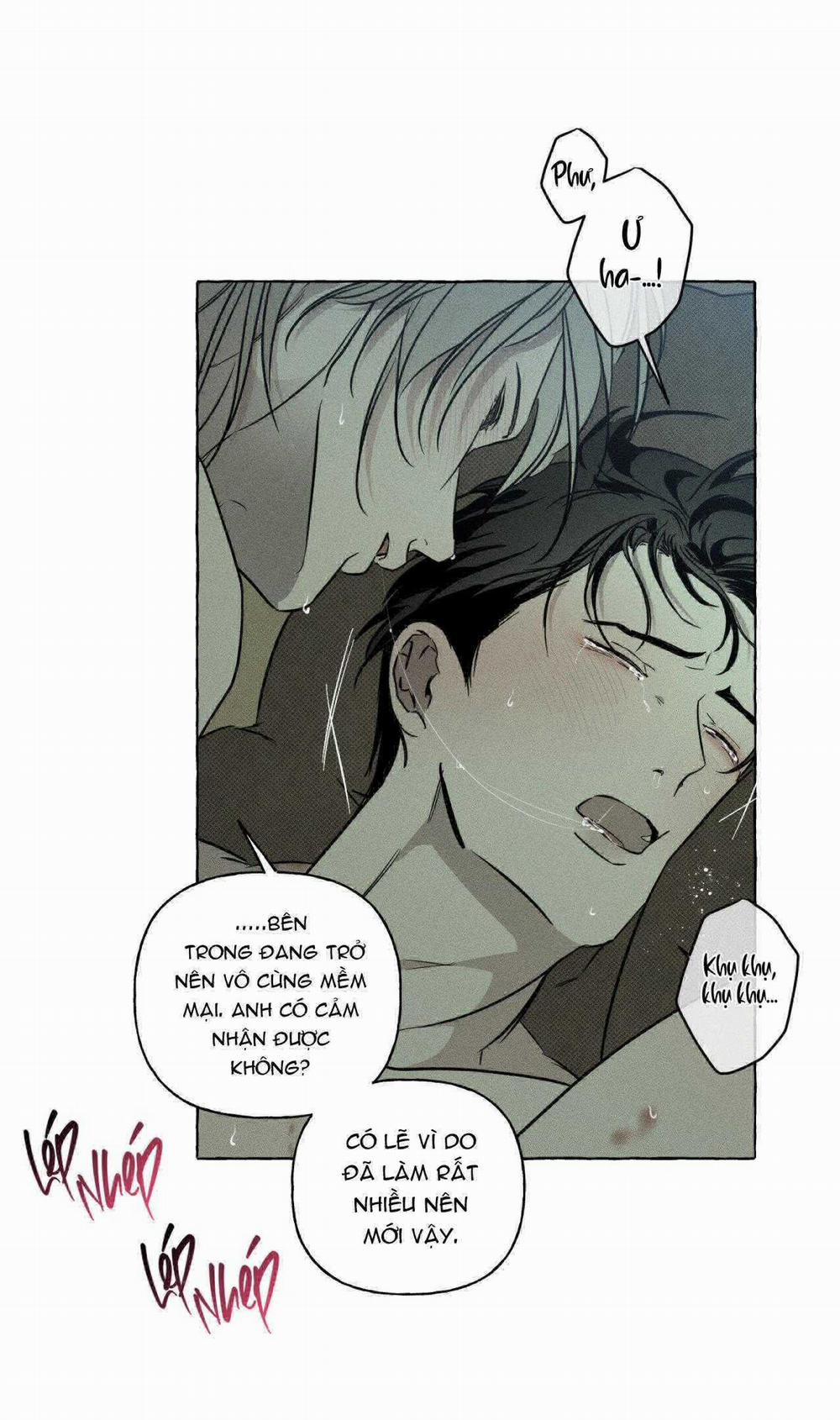 Xương Và Cánh Hoa 34 trang 13