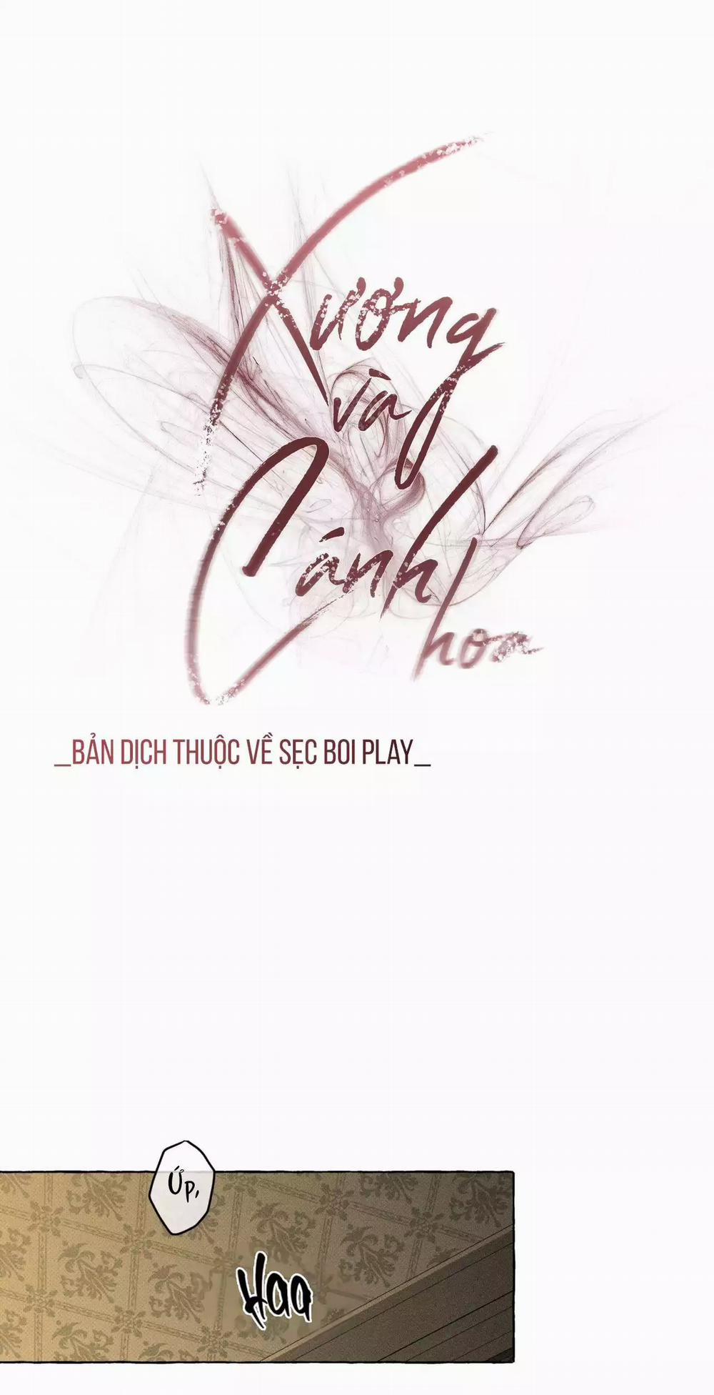 Xương Và Cánh Hoa 38 trang 12