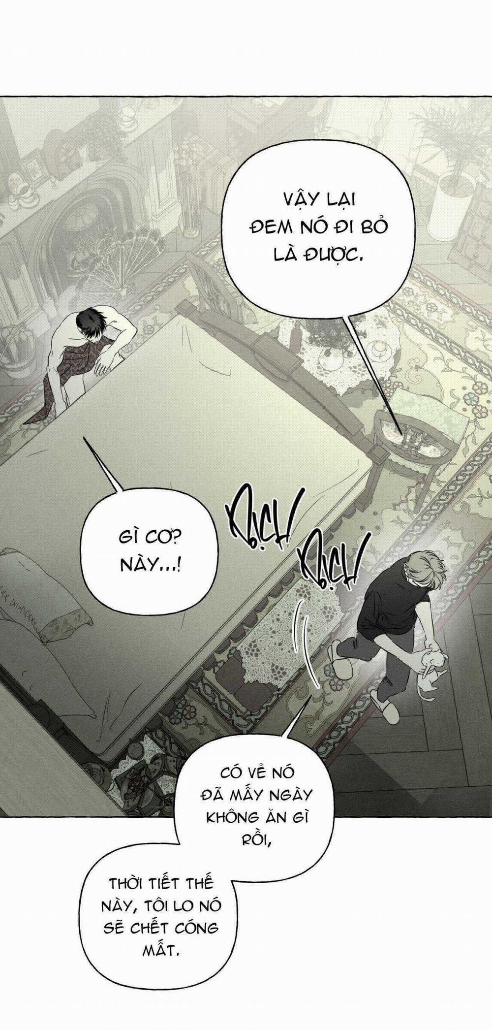 Xương Và Cánh Hoa 39 trang 14