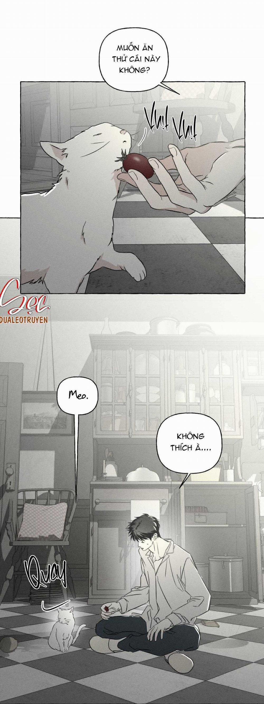 Xương Và Cánh Hoa 39 trang 21